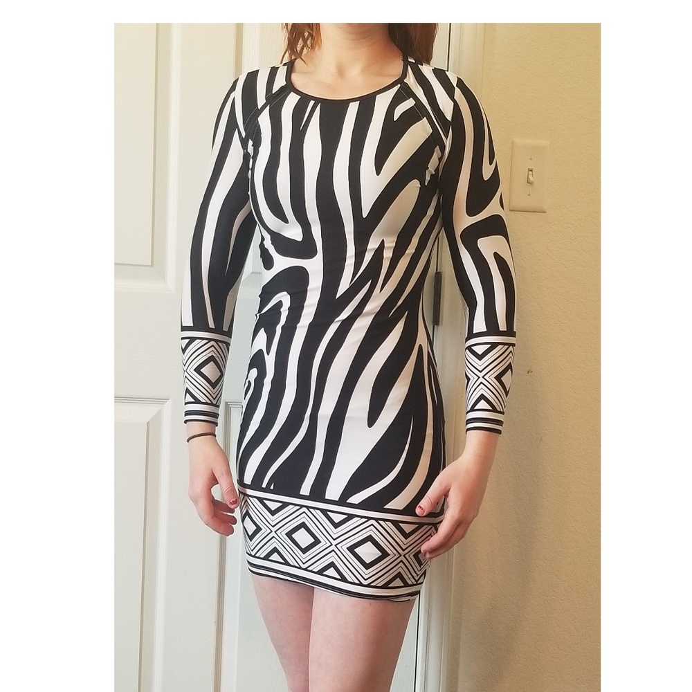 Zebra striped dress